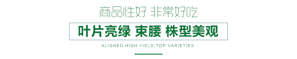 1557814112834499.jpg 詳情頁(yè)12.jpg