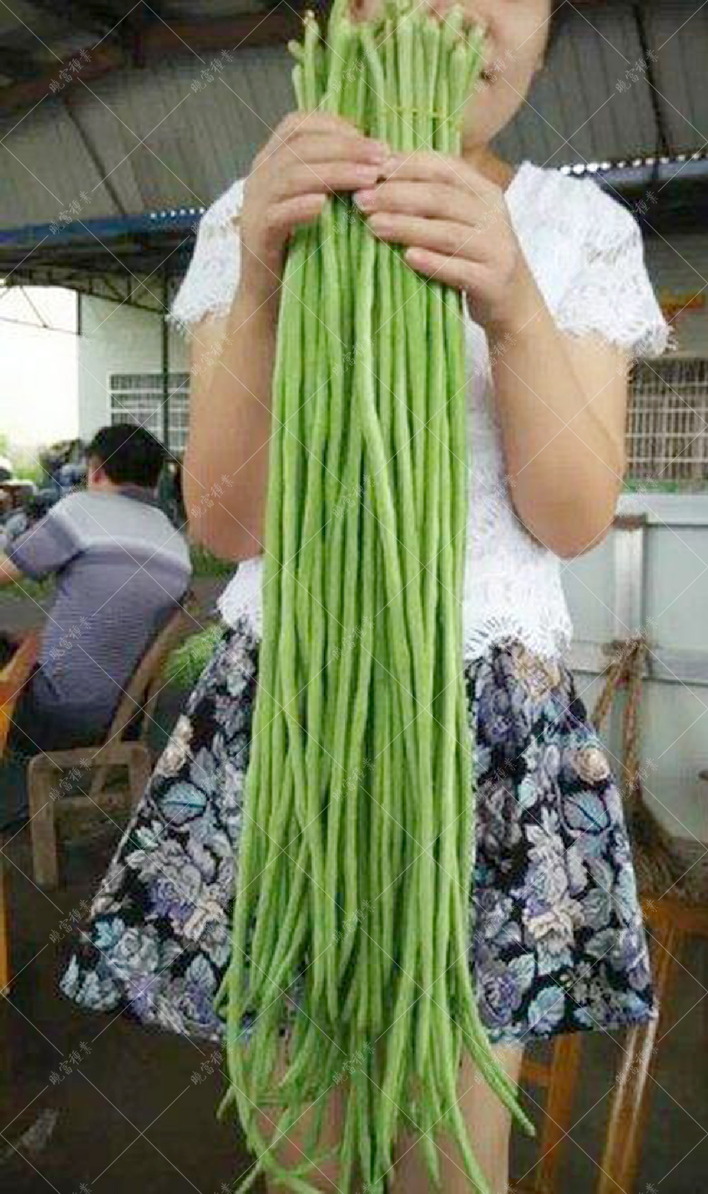 1557970087773675.jpg 52.jpg